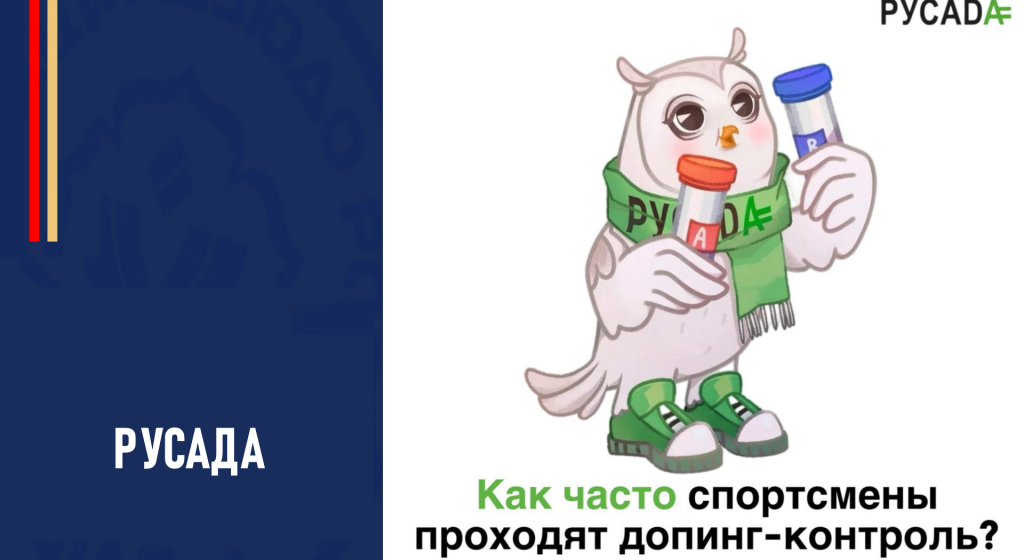 Изображение новости